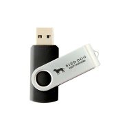 Custom USB & Flash Drives