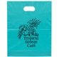 Colored Frosted Die - Cut Convention Bag 15 x 12 Flexo Ink