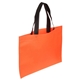 Landscape Recyclable Non - Woven Shopping Bag