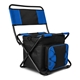 Folding Cooler Chair
