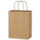 Kraft Paper Brown Shopping Bag - 8 x 10-1/4
