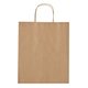 Kraft Paper Brown Shopping Bag - 13 x 17