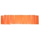 Exercise Stretch Band