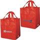 Non - Woven Carry All Tote