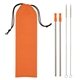 2- Pack Stainless Steel Straw Kit