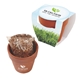 Seed Sensations Terracotta Pot