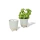 Modern Sprout(R) Glow Grow Live Well Gift Set