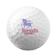 Titleist(R) Pro V1x(R) Golf Ball Half Dozen Std Serv