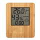 Zonal Indoor Bamboo Weather Station