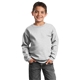 Port Company Youth Crewneck Sweatshirt