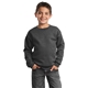 Port Company Youth Crewneck Sweatshirt