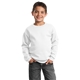 Port Company Youth Crewneck Sweatshirt