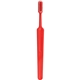 Concept Bold Toothbrush
