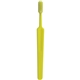 Concept Bold Toothbrush