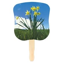 Stock Design Hand Fan - Daffodils