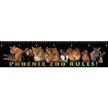 Zoo - Ruler Magnets