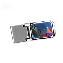 Four - Color Epoxy Dome Hinged Money and Credit Card Clip