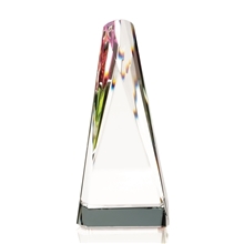 Influential Optical Crystal Award - 2.75 x 6 x 2.75 in