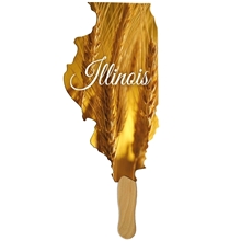Illinois State Shape Fast Hand Fan (1 Side) - Paper Products