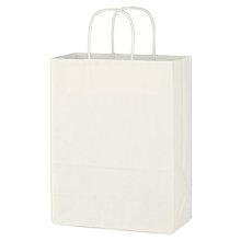 Kraft Paper White Shopping Bag - 10 x 13