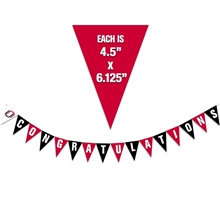 16 Pennant Banner - Paper Products