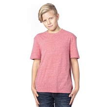 Threadfast Apparel Youth Triblend T - Shirt