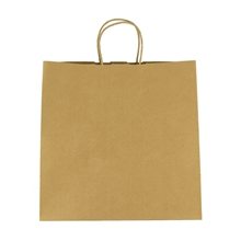 Kraft Paper Brown Shopping Bag - 10 X 10