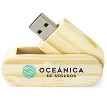 Hinsdale Eco - Friendly Bamboo Swivel USB