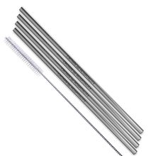 Straight Stainless Steel Straws Set of 4 in Silver