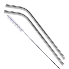 Bent Stainless Steel Straws Set of 2 in Silver