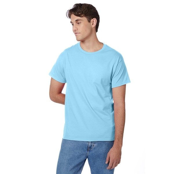 Hanes 5250 Tagless 100% Cotton Comfort Blank T-Shirt